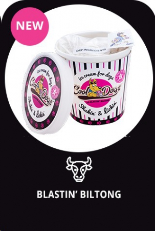 dry-mix-ice-cream-blasting-biltong-500ml-tbd